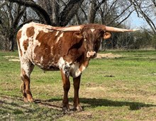 Tolar's Waffle House